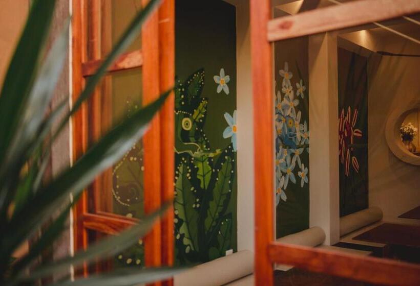 Casa 5 Bed & Breakfast