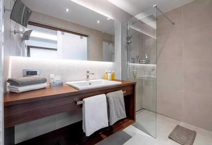 ホテル Arya Alpine Lodge