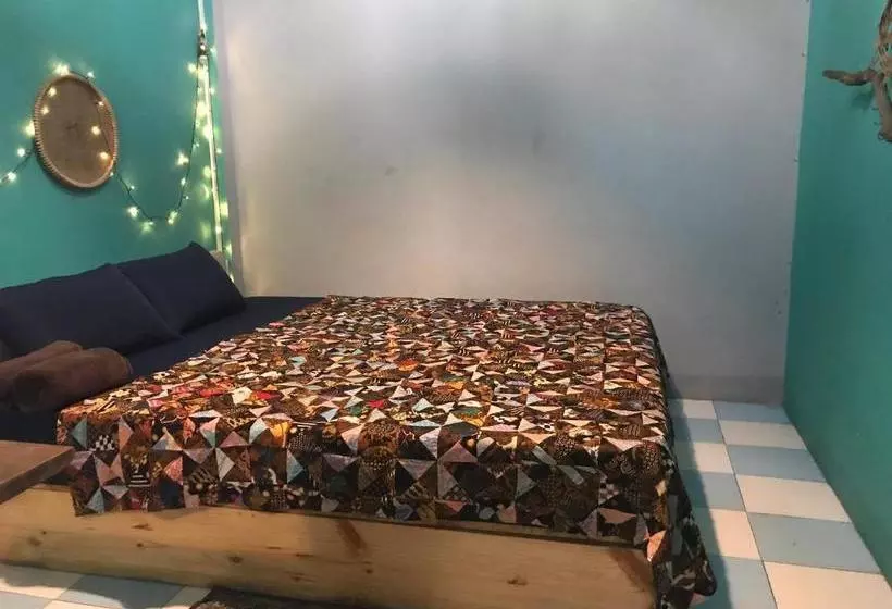 هاستل Kim House