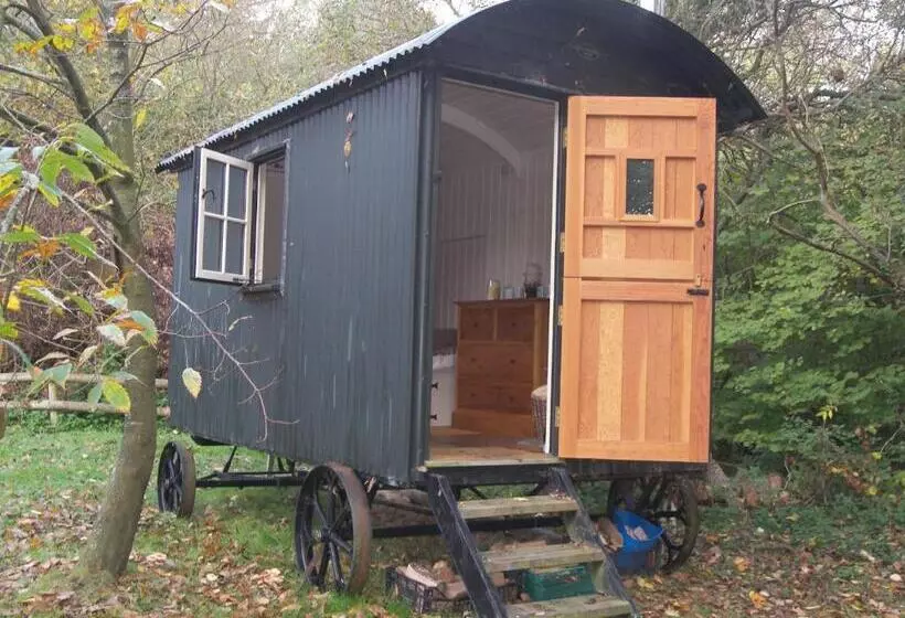 Hotelli The Hut