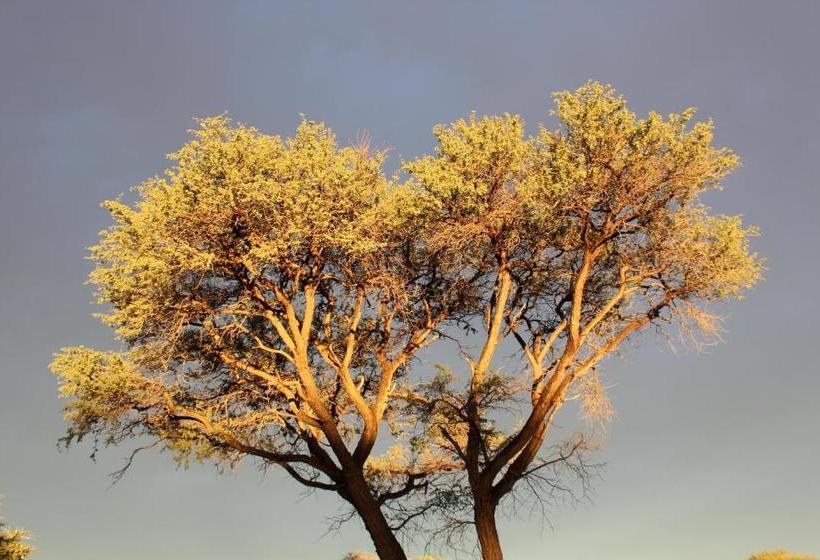 Пансион Steps Accommodation