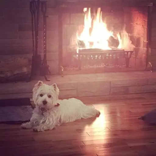 Abide Within Bed & Breakfast