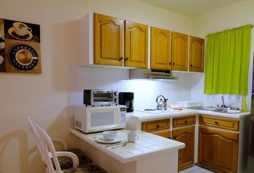 هتل Aruba Quality Apartments & Suites