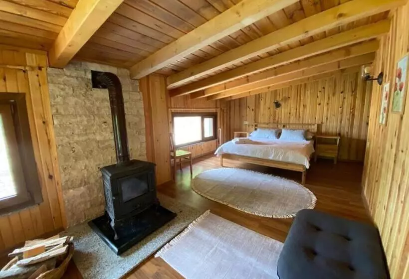 Hotelli Serinyer Dagevi