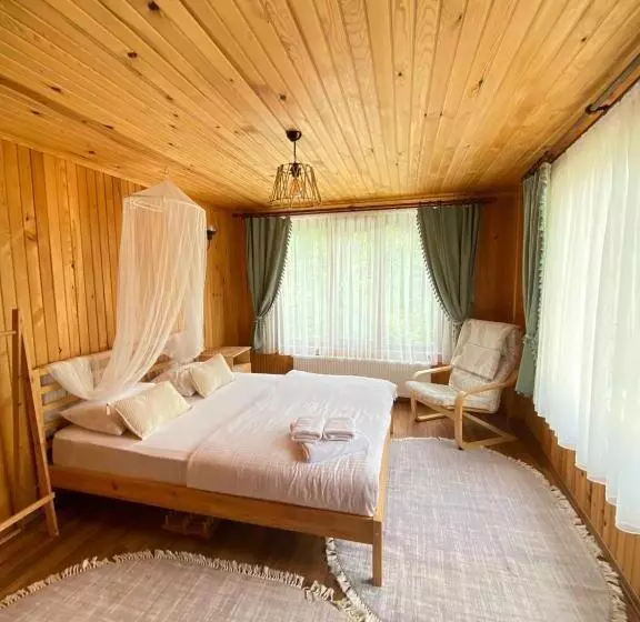 Hotelli Serinyer Dagevi