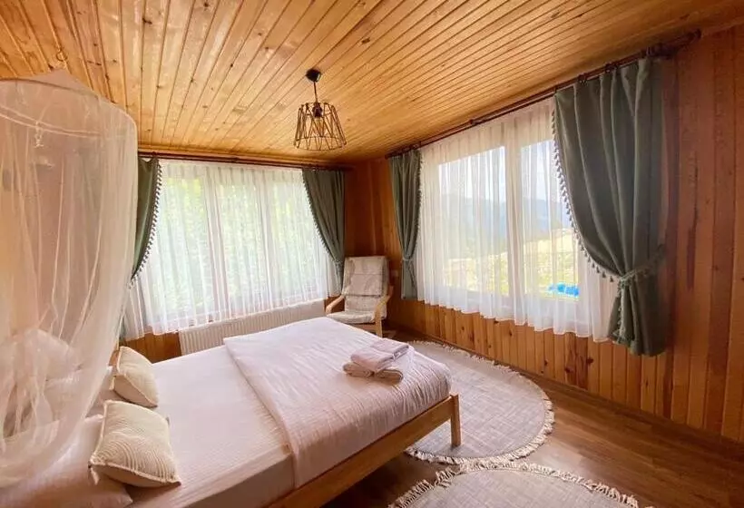 Hotelli Serinyer Dagevi