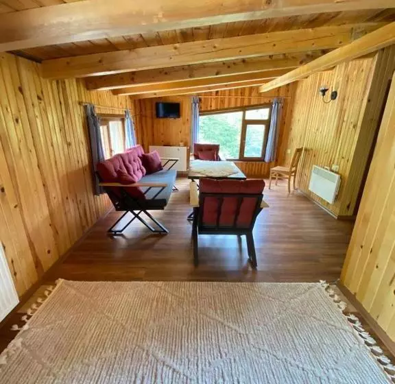 Hotelli Serinyer Dagevi