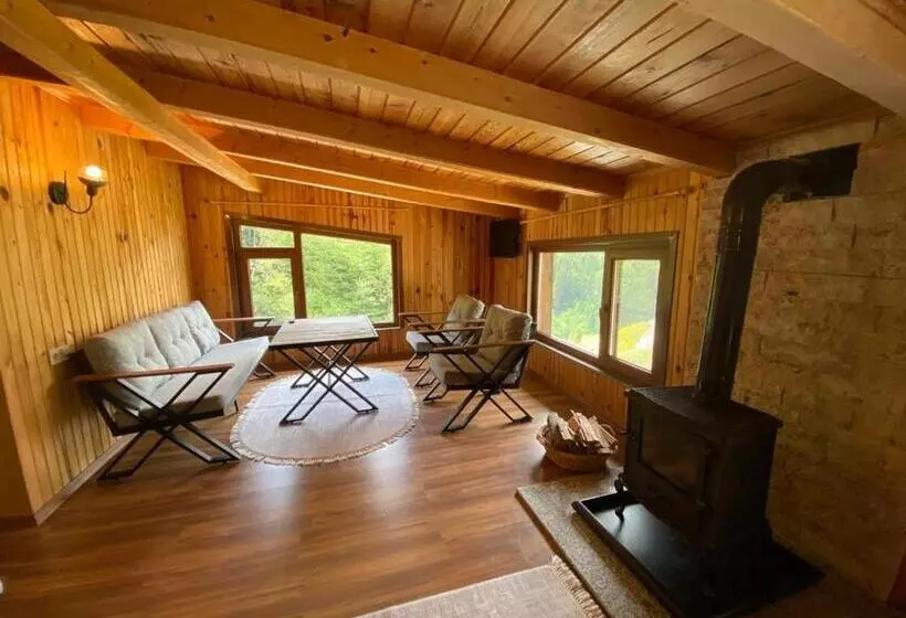 Hotelli Serinyer Dagevi