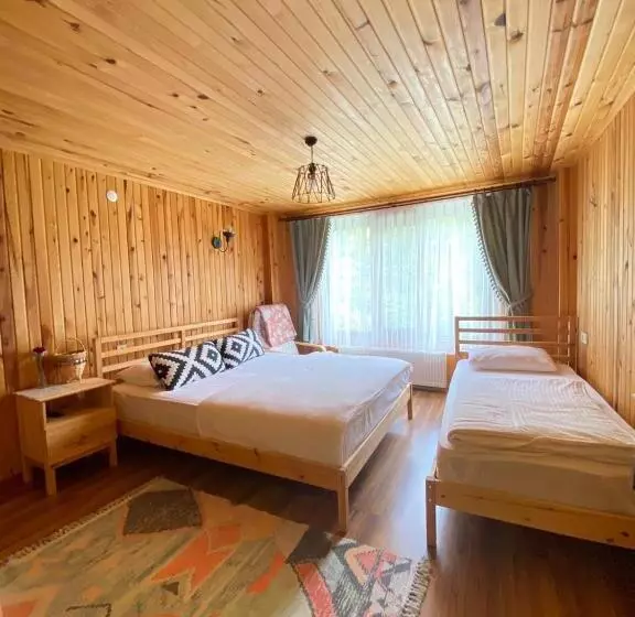 Hotelli Serinyer Dagevi