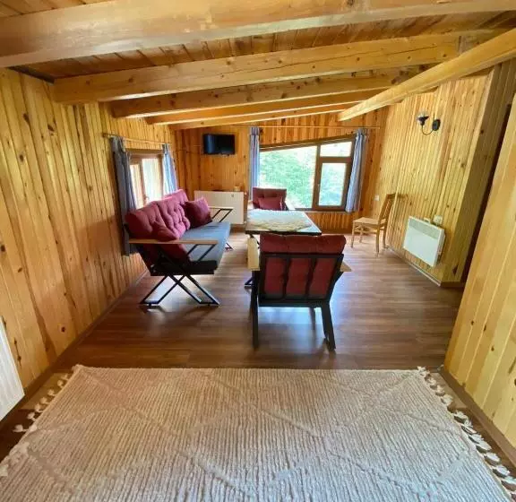 Hotelli Serinyer Dagevi