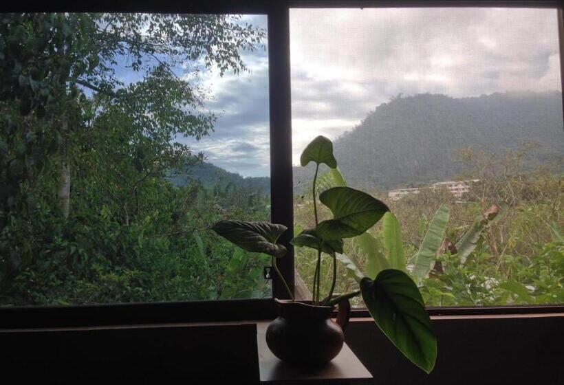 Pansiyon Cinnamon House