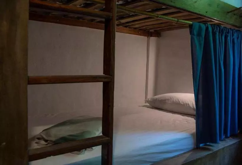 ペンション Cinnamon House