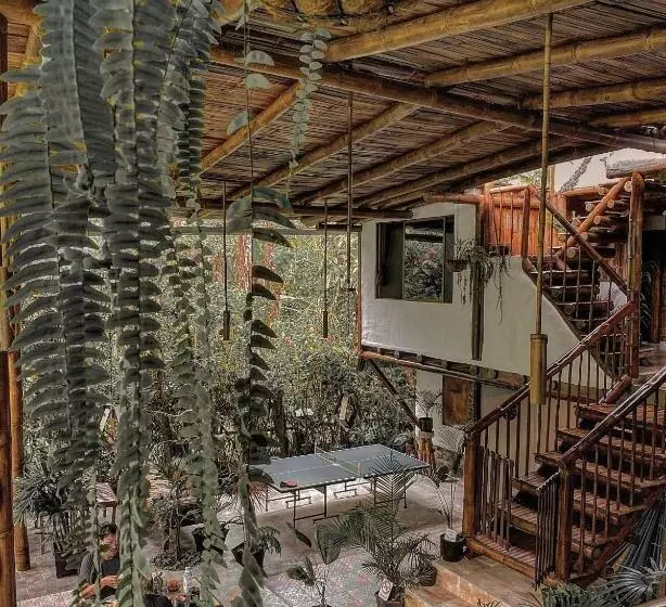 ペンション Cinnamon House