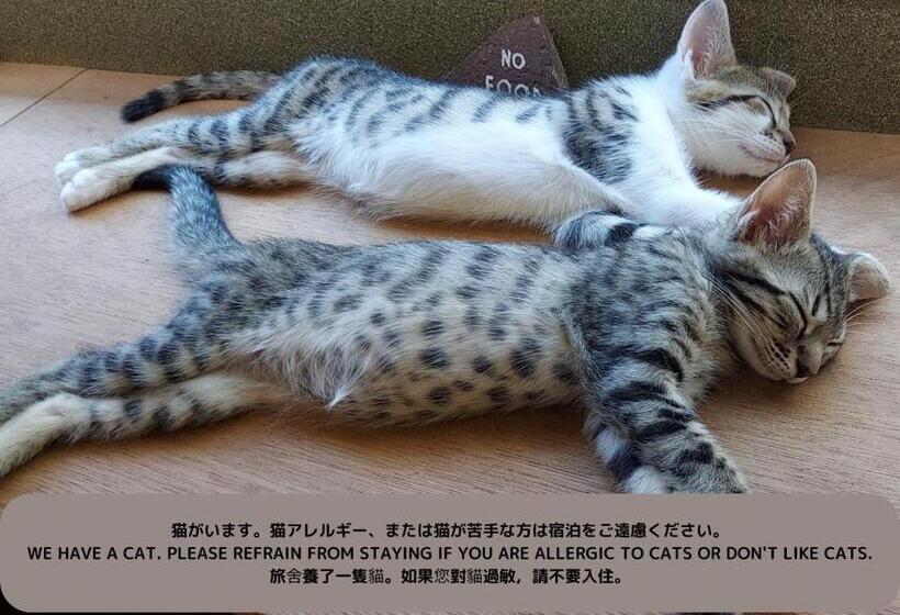 פנסיון Iruka Hostel