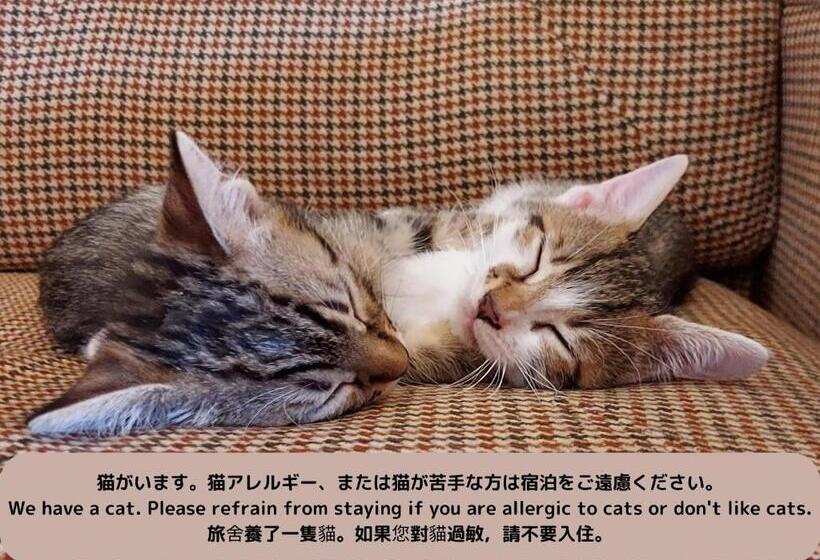 פנסיון Iruka Hostel