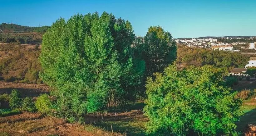 پانسیون Alojamento Local Do Arado