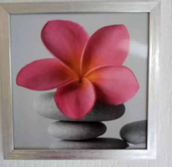 Retkeilymaja Gästehaus Dietrich