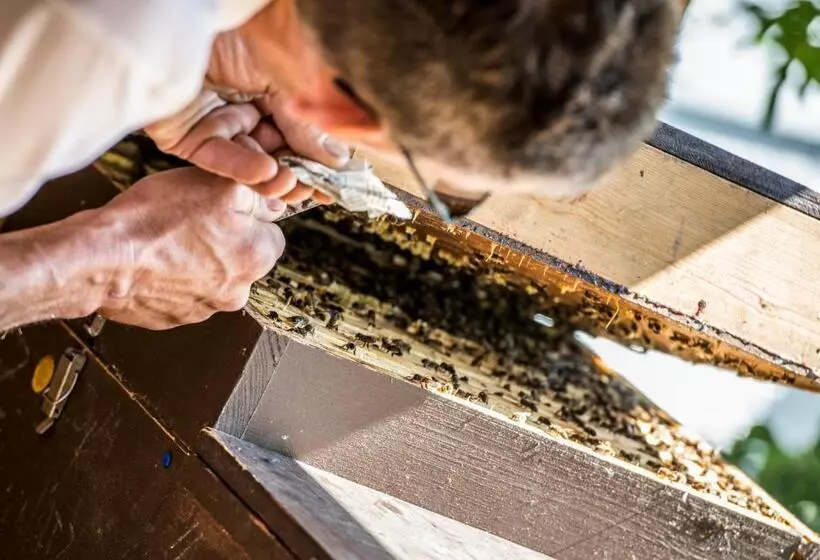 ホテル Birkenbrunn