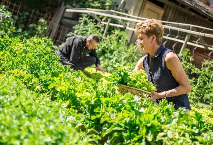 ホテル Birkenbrunn