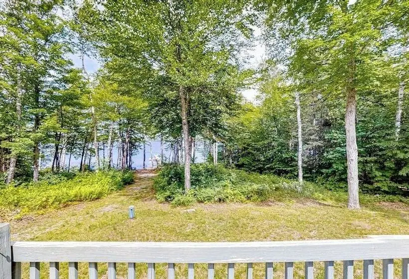 Lakefront Cabin On First Roach Pond With Dock, Lake View & Firepit  Dog Friendly