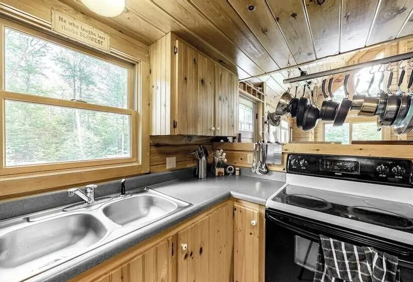 Lakefront Cabin On First Roach Pond With Dock, Lake View & Firepit  Dog Friendly