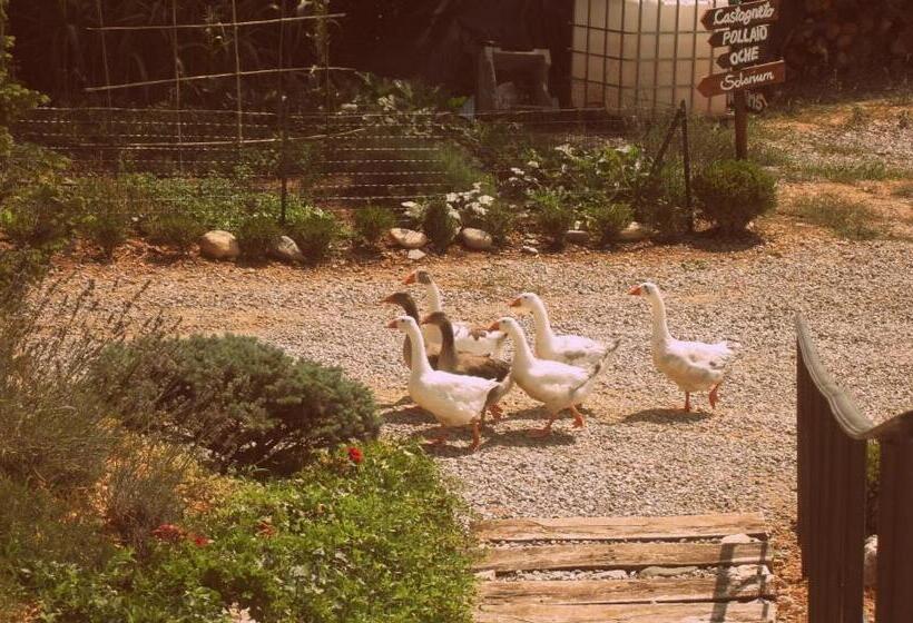 فندق Agriturismo Al Robale