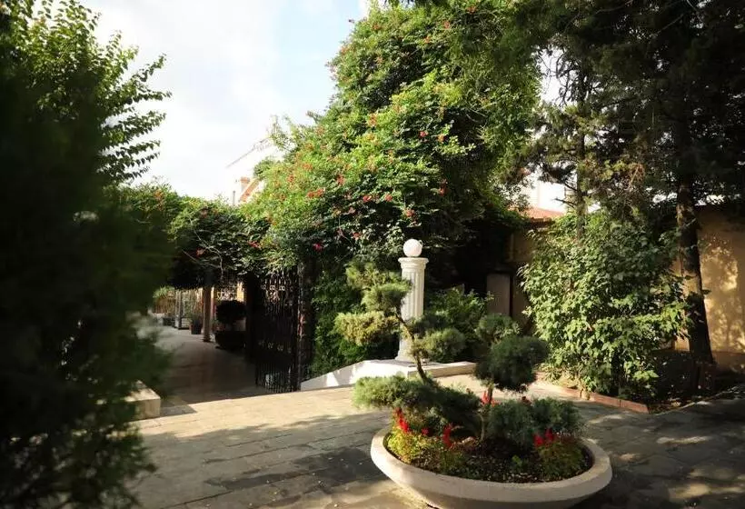 هتل Ten Constanta