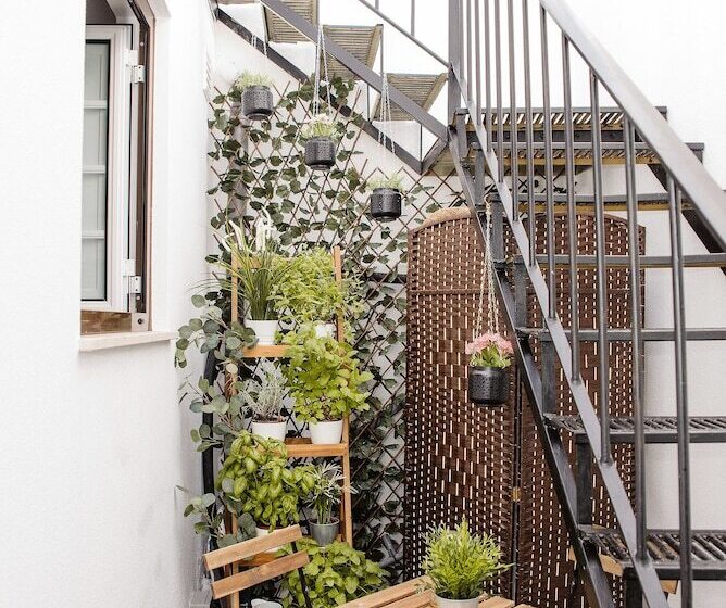 پانسیون Deck Lodge