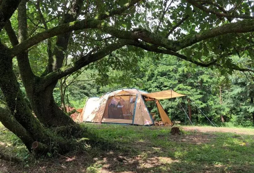 Majatalo Fwa Guest House