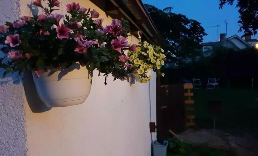 پانسیون Martin Guest House