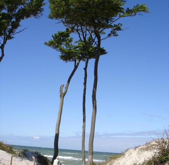 בית מלון כפרי Haus Linden