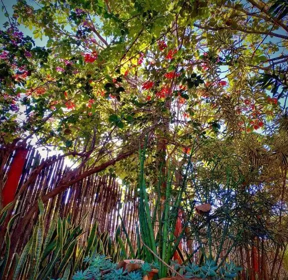 ペンション Pousada Jardim De Minas