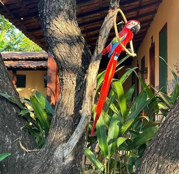 ペンション Pousada Jardim De Minas