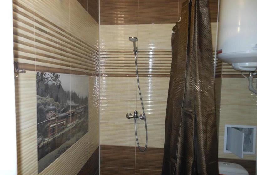 פנסיון Guest House Viola