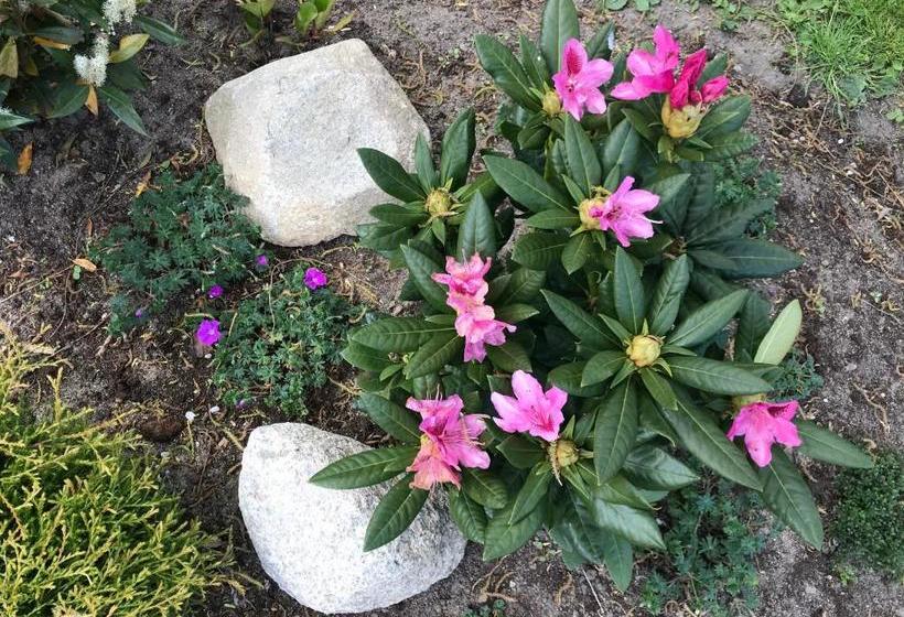 Mellby 11 Bed & Breakfast