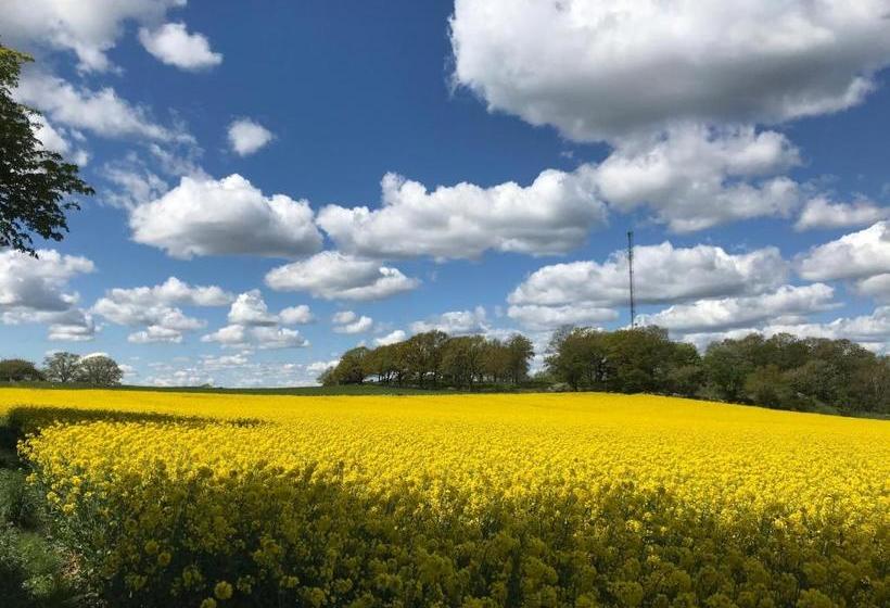 Mellby 11 Bed & Breakfast