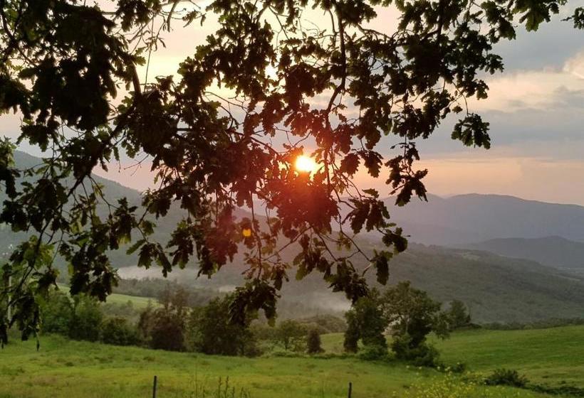 Aamiaismajoitus (B&B) Agriturismo Da Pietro