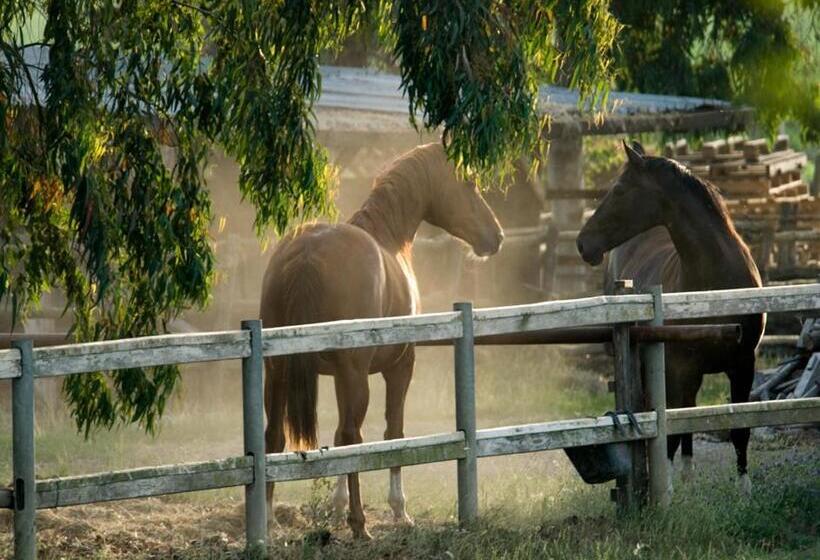 בית מלון כפרי Il Casale Corte Rossa
