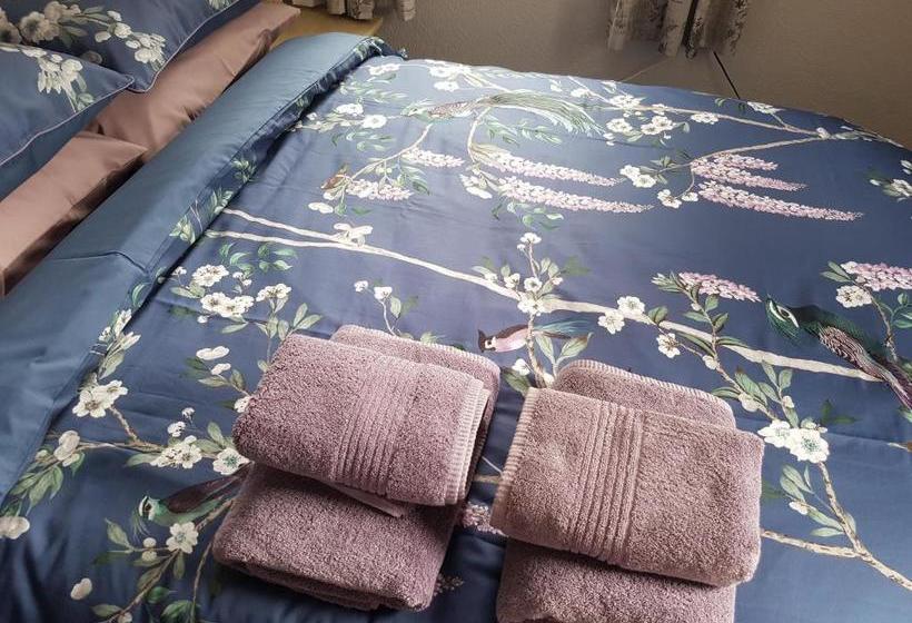 بنسيون Alexandra Lodge Guest House