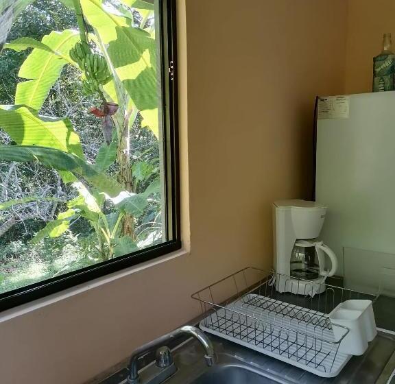 بنسيون Casa Taupe