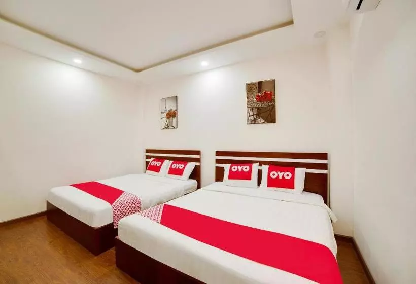 Stella House & Apartment