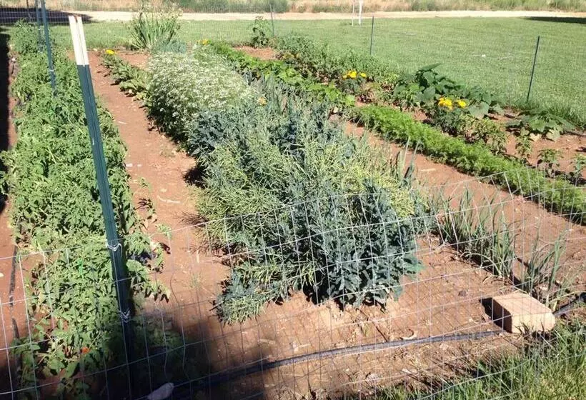 Bullberry Inn Bed & Breakfast