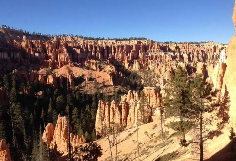 Bullberry Inn Bed & Breakfast