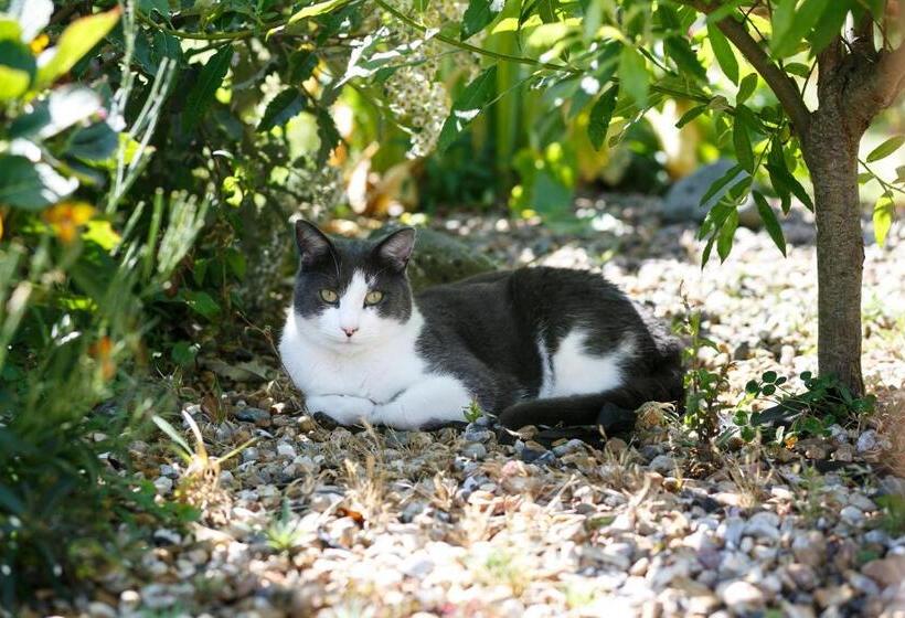 Margaret's Cottage B&b