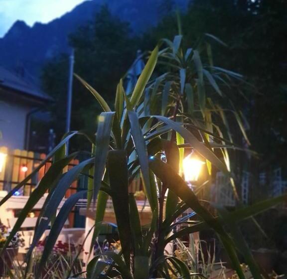 Pensjonat Casa David