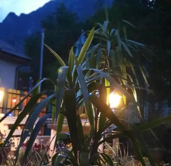 ペンション Casa David