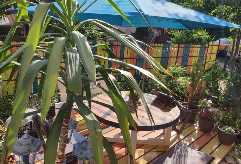 Pensjonat Casa David