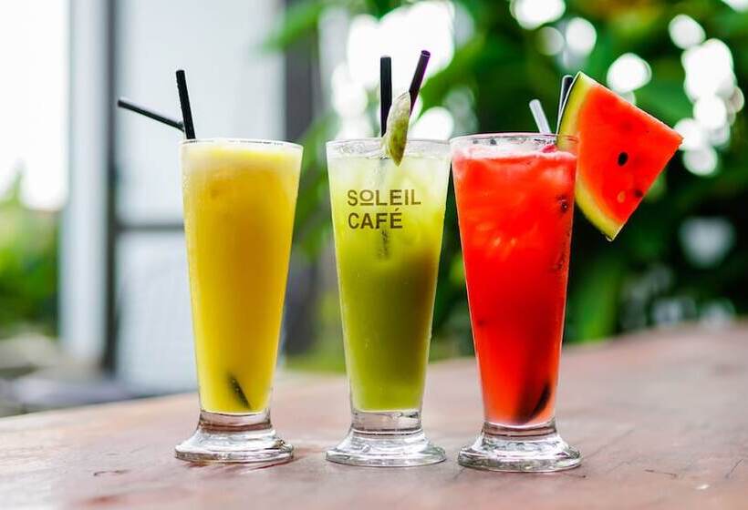 Bed and Breakfast Soleil House