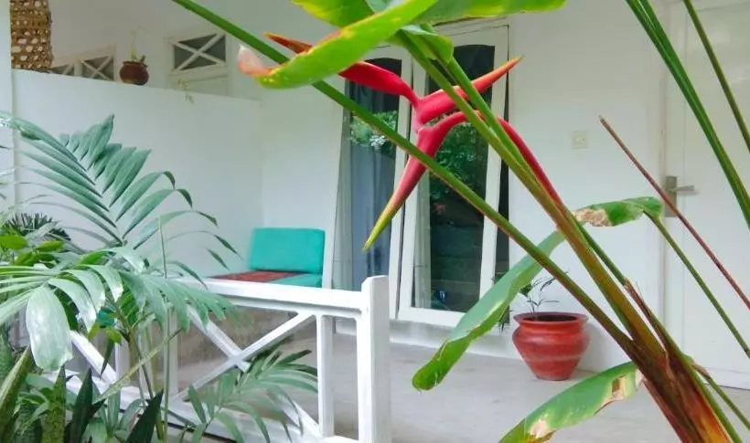 Aamiaismajoitus (B&B) Café Des Arts Gili Air