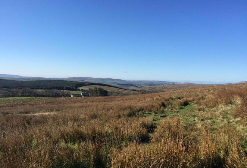 Dale House Barn And B&b